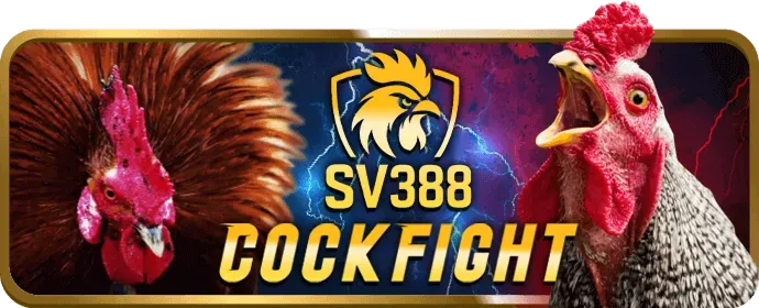Hướng dẫn chơi bắn cá cho người mới VNTop88