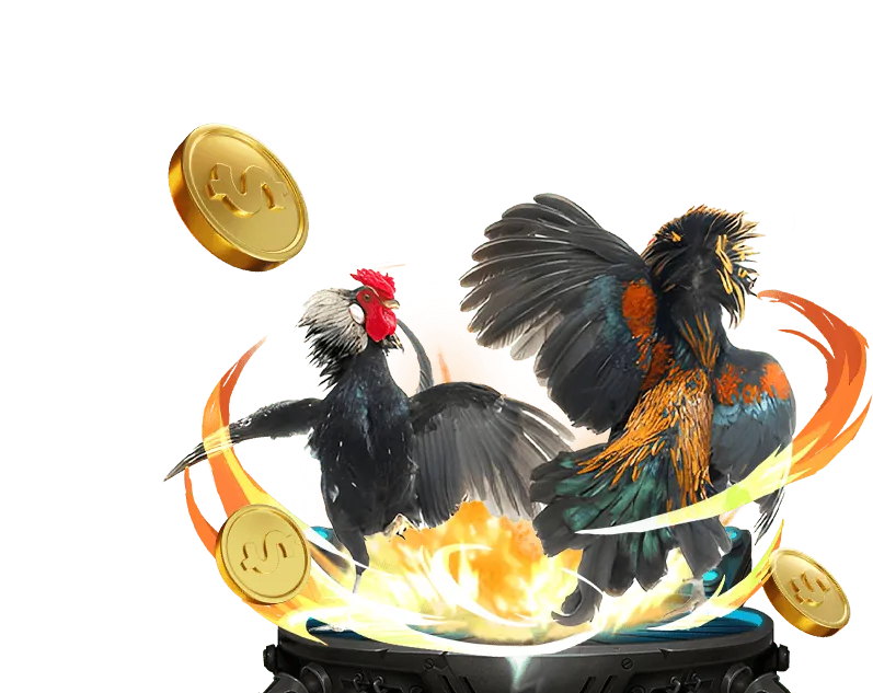 Cam kết vntop88