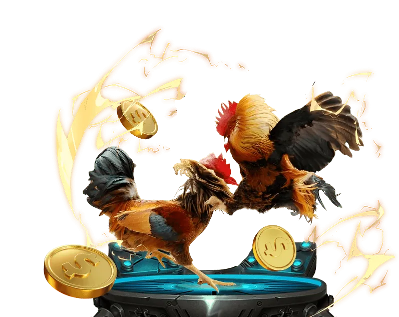 Câu Lạc Bộ VIP VNTOP88